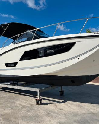 Quicksilver 875 Sundeck twin 250 Verado 2019