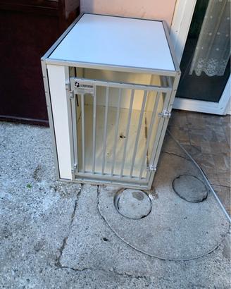 Trasportino di ferro