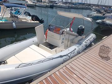 joker boat coaster 650
