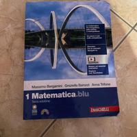 Libro Matematica.blu 1