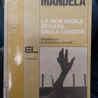 Libro su Nelson Mandela