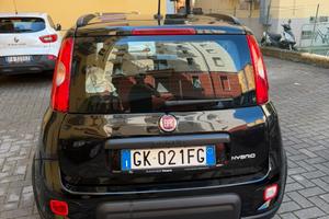 Panda sport 2022