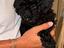 Immagine 4