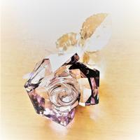 Swarovski,BOCCIOLO DI ROSA,DARK PINK