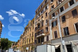 Negozio Roma [Cod. rif 3253433VCG] (Prati)