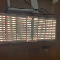 Lampada LED SpiderFarmer SF-2000