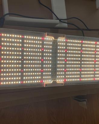 Lampada LED SpiderFarmer SF-2000