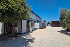 Guidonia Montecelio, Capannone artigianale terreno