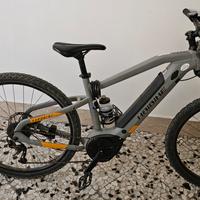 Bici elettrica 