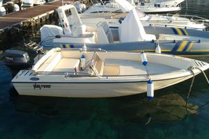 Barca Open Rover Marine 