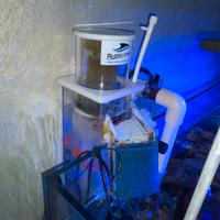 Schiumatoio bubble magus Q3