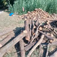 legna da ardere -qualita superiore-