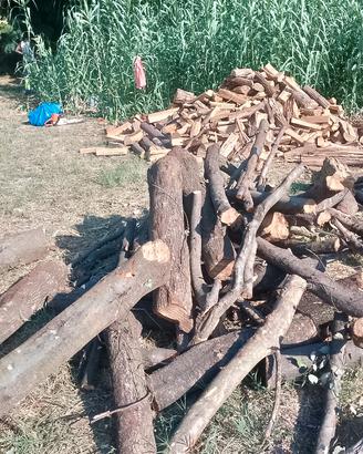 legna da ardere -qualita superiore-