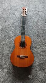 Chitarra Yamaha Piccola