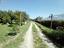Immagine 19