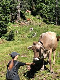 Lavoro in natura con animali e piante