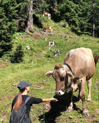 Lavoro in natura con animali e piante