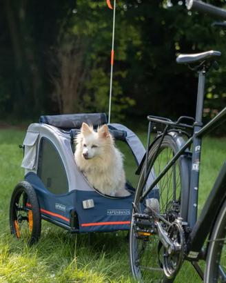 Rimorchio per bici/carrello da jogging (2 in 1)
