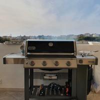 Weber GENESIS E410 