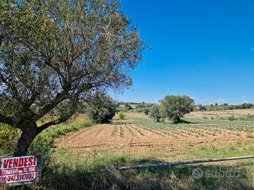 Terreno agricolo a Roseto degli Abruzzi
