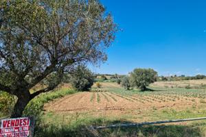 Terreno agricolo a Roseto degli Abruzzi