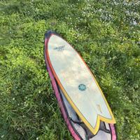 Tavola da Surf Cult Fish 5’8 + pinne e sacca