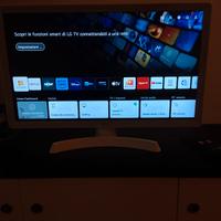 smart TV LG 24 pollici 