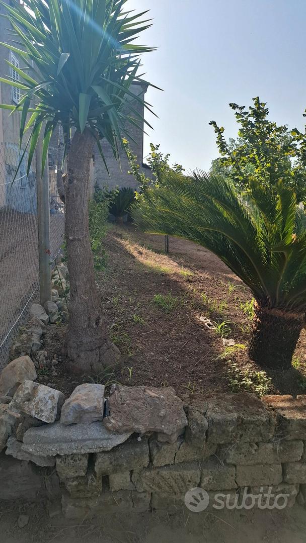 Terreno Edificabile - Vista 5