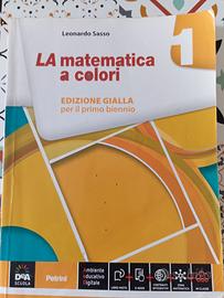 libro di matematica 