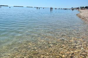 Disponibile settimana ferragosto