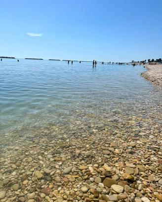 Disponibile settimana ferragosto