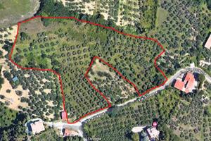 Terreno di 17000 m² a San Giovanni Teatino