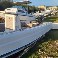 IMBARCAZIONE BOSTON WHALER 6.50