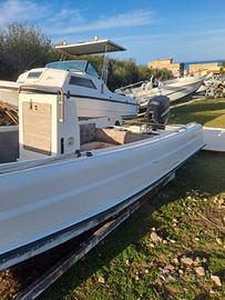 IMBARCAZIONE BOSTON WHALER 6.50