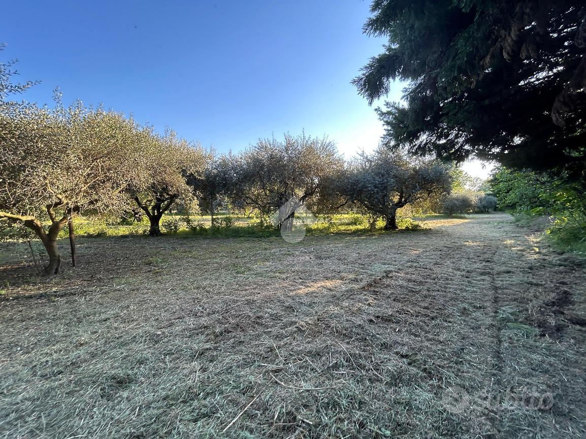 TER. AGRICOLO A BOLOGNA - Altro