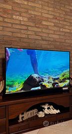 Tv lcd Samsung 48 pollici