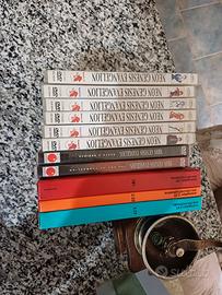 Neon Genesis Evangelion Saga Completa DVD