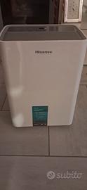 DEUMIDIFICATORE HISENSE
