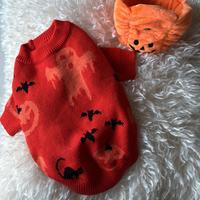 Costume halloween cane / gatto nuovo