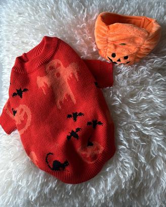 Costume halloween cane / gatto nuovo