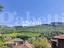 Immagine 7