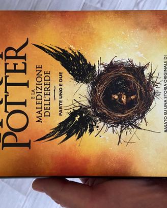 Set libri nuovi Harry Potter e Animali Fantastici