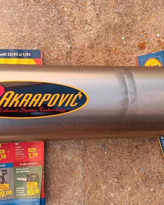 akrapovic titanio hypermotard 1100
