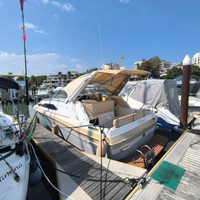 Bayliner 2855 motore NUOVO