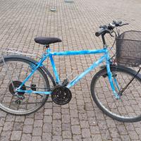 Bici sportiva ragazzo