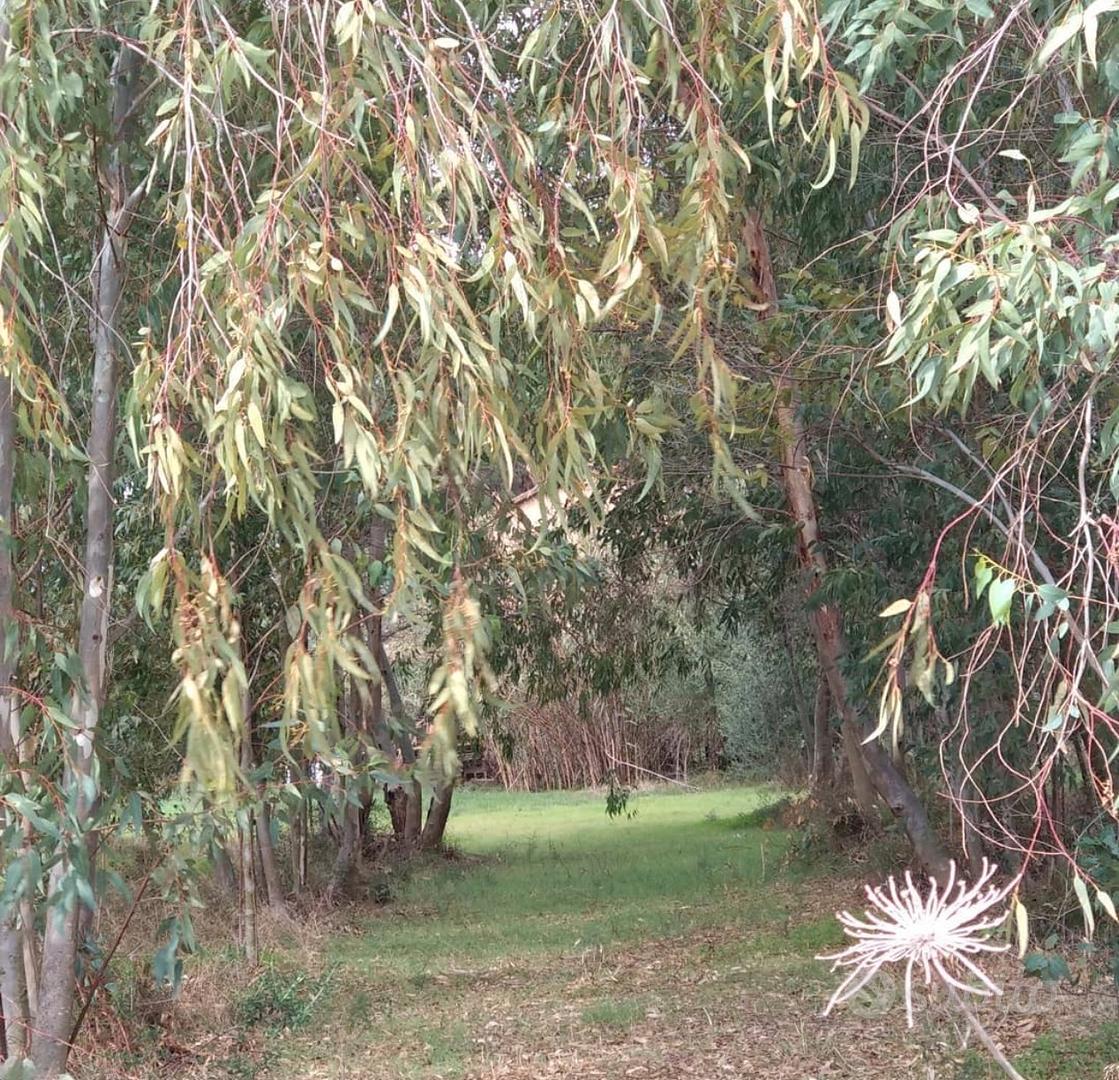 Terreno agricolo - Vista 3