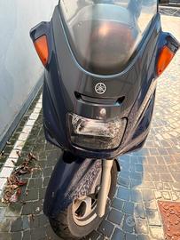 OCCASION majestic 250 