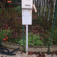 cassetta lettere, posta