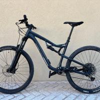 Mountain bike Rockrider AM 50 S  Taglia L