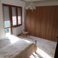 Coperta di lana di pecora